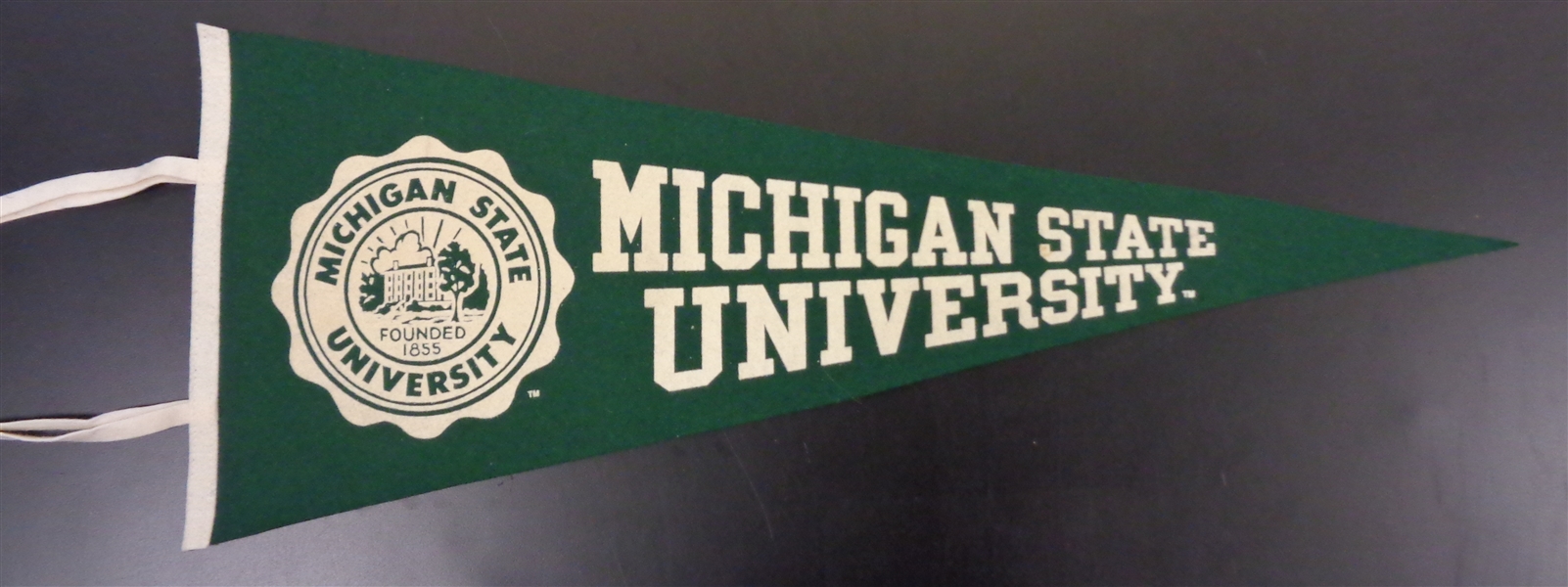 Michigan State Spartans Vintage Pennant