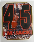 Michael Jordan 16x20 Framed Poster