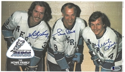 Mark, Marty & Gordie Howe Autographed 1973/74 OPC Poster