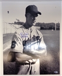Gordie Howe Autographed 16x20 Photo - Baseball