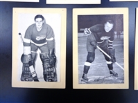 Red Wings Beehive Lot of 7 Group 1/2