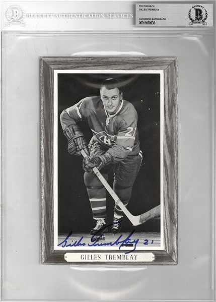 Gilles Trembley Autographed Bee Hive 5x8 Photo Card