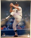 Denny McLain Signed Detroit Tigers Pitching 16x20 Photo w/68 AL MVP