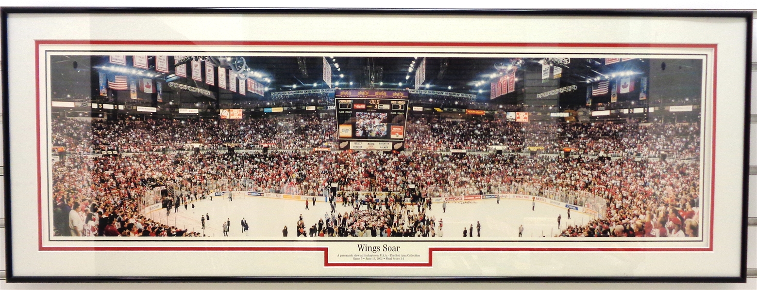 Wings Soar Framed Panoramic (Pick up only)