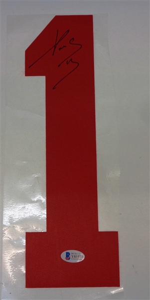 Pavel Datsyuk Autographed Jersey Number