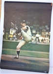 Denny McLain Autographed 24x36 Poster