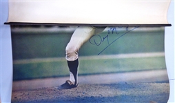 Denny McLain Autographed 24x36 Poster