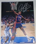 Dennis Rodman Autographed 16x20 Photo