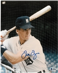Travis Fryman Autographed 8x10 Photo