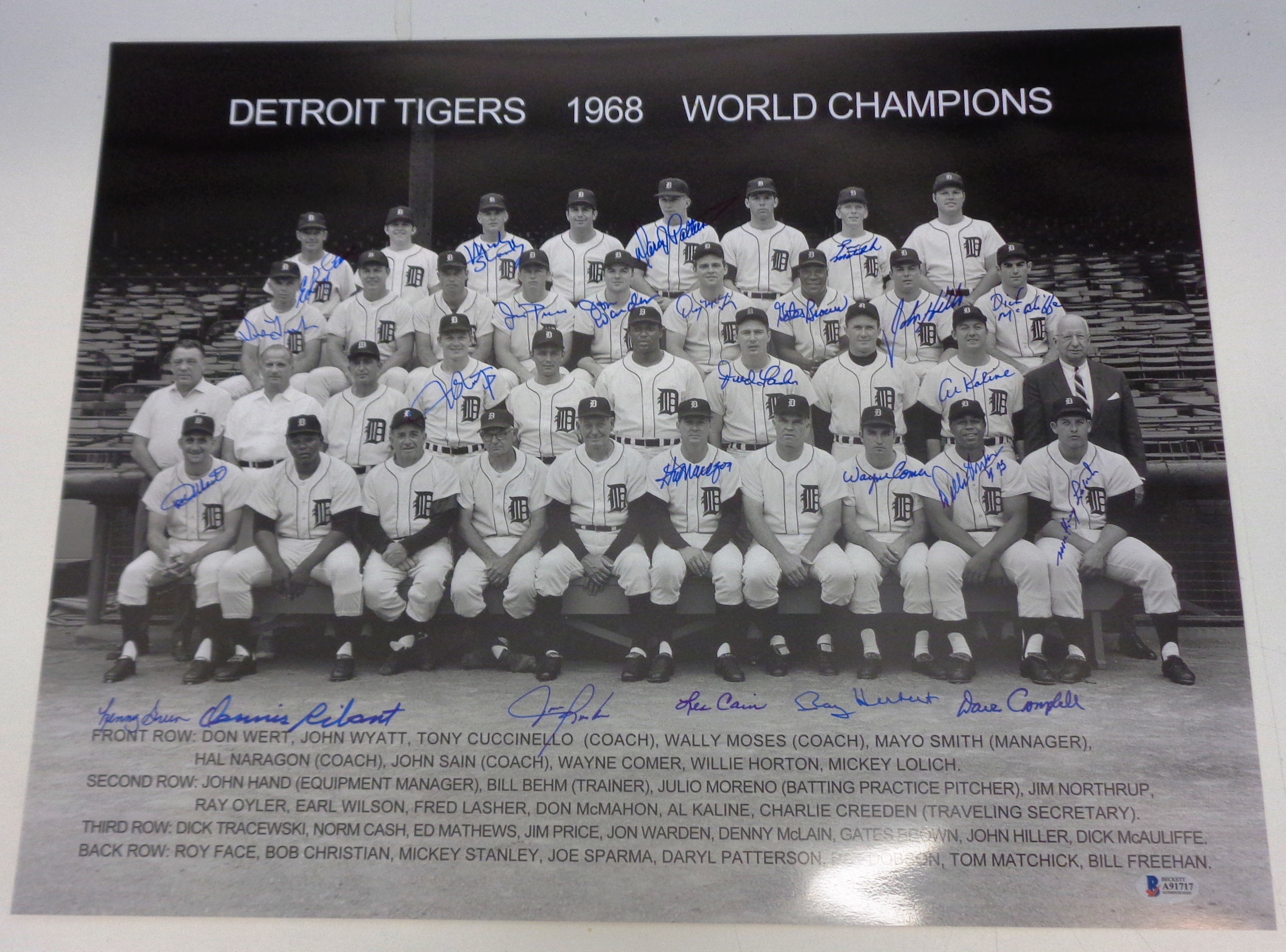 Lot Detail - 1968 Detroit Tigers 16x20 Signed by 17