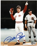 Pete Rose Autographed 8x10 Photo