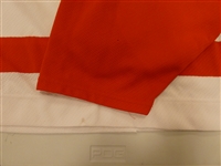 Jason Wooley Autographed Red Wings Jersey