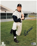 Tom Matchick Autographed 8x10