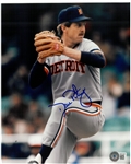 Dan Petry Autographed 8x10