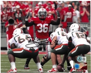 Brian Rolle Autographed 8x10