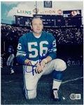 Joe Schmidt Autographed 8x10