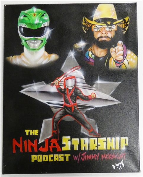The Ninja Starship Podcast 16x20 Canvas