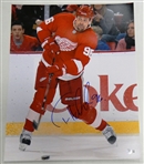 Tomas Holmstrom Autographed 16x20