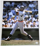 Lou Whitaker Autographed 16x20