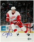 Pavel Datsyuk Autographed 8x10