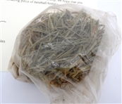 Yankee Stadium Piece of Freeze Dried Sod