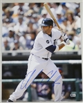 Alex Avila Autographed 16x20