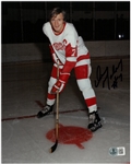 Dan Maloney Autographed 8x10