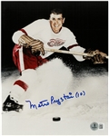 Metro Prystai Autographed 8x10