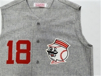 Ted Kluszewski 1956 Reds Mitchell & Ness Authentic Jersey