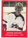Wayne Gretzky Custom Indianapolis Racers Card
