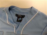Detroit Lions Baseball Jersey