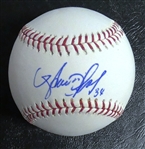 Avisail Garcia Autographed Baseball