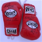 Multi Signed Boxing Gloves