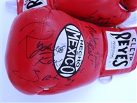 Multi Signed Boxing Gloves