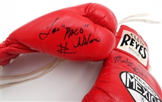 Multi Signed Boxing Gloves
