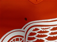 Brad Park Vintage Detroit Red Wings Authentic Jersey