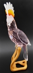Swarovski Crystal Paradise Cockatoo 