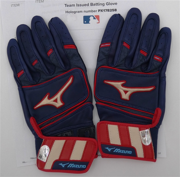 Detroit Tigers Team Issued Batting Gloves